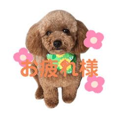 ayumi_20200821155015