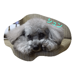 NOZOMI_20200821151456