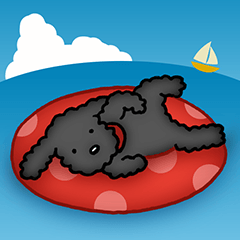Black toy poodle in Summer (No words)