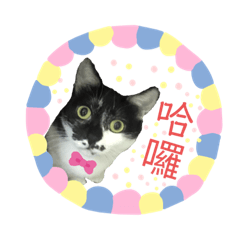 我們家是座動物園