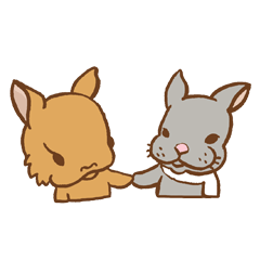 kiwi bunny & pudding bunny's daily life