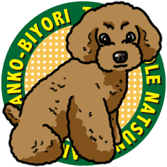 Wanko-Biyori Toy poodle