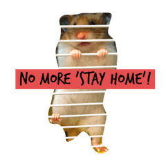 A Day of Sue-chan  1