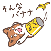 Shiba-can and Tora-can