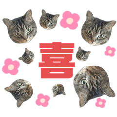 kotenyan stamp very cute