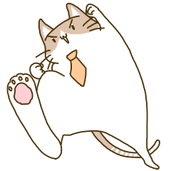 Mokichi kun of the cat