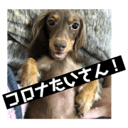 namida_20200822002515