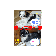 Rei_20200821201844