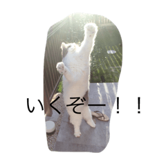 emily_20200821215425