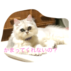 seira_20200821162937