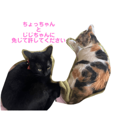 TERAYUKI_20200822104345