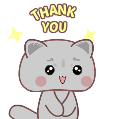 British short hair cat : Grey 2