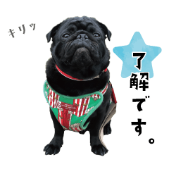 BlackPugGENStickerPart2
