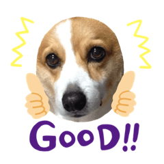 saori_20200821204713