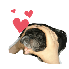 AYUMI_20200822111959