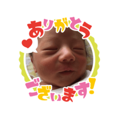 matsu_20200821205608