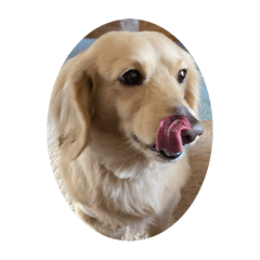 matsu_20200822143737