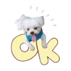 庭&杰