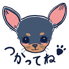 A Funny and Sly Chihuahua BIG Stickers
