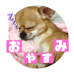 asuka_20200822162512