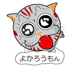 Hakata cat's