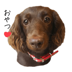 kurumi_20200822174241