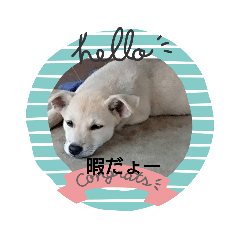 chibi_20200822210501
