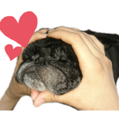 AYUMI_20200822212648