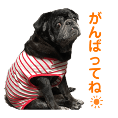 AYUMI_20200822220731