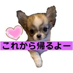 Sally_20200822233645