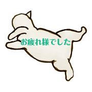 Rakutarou cat