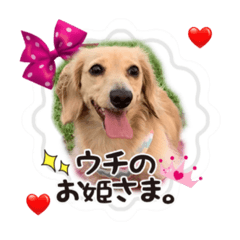 Rina_20200822235601