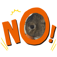 kurumi_20200822204959