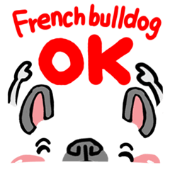 French bulldog and simple reaction 4.