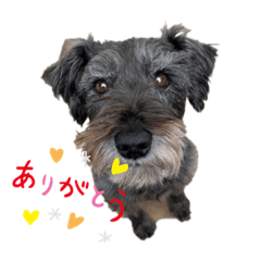 risa_20200823001522