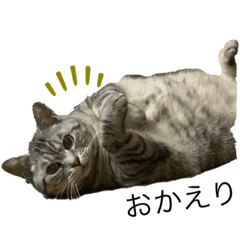 chisa_20200823105348