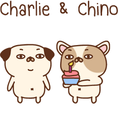 Charlie & Chino [Pug & French Bulldog]