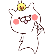 usachoko