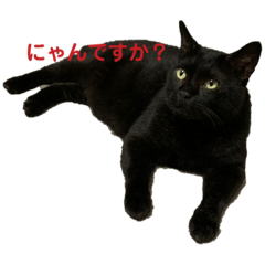 ねこ Lineクリエイターズスタンプまとめ Stamplist Part 22