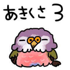 It is bird akikusa3.