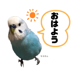 omayu_20200823120012