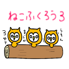 cat owl 3