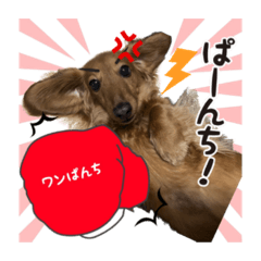 riho_20200823140426