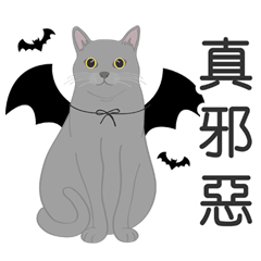 Meow Le! Drag show(Gray cat)