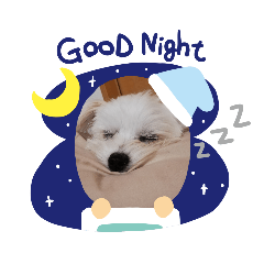 Omochi_20200823144226