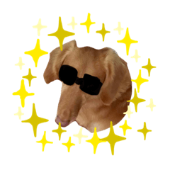 cocoa_20200823152050