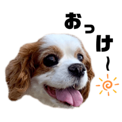 yukavi_20200823164404