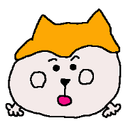 Shiba inu MOMO chan the third as well 2