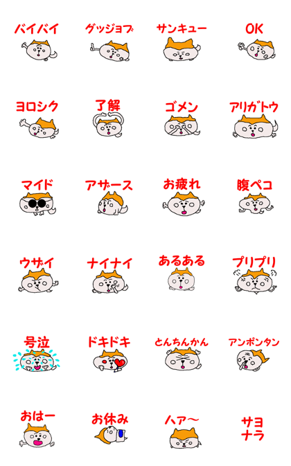 Shiba inu MOMO chan the third as well 2