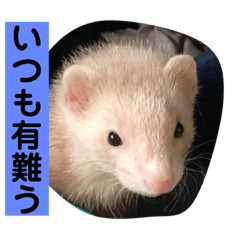 Jackie_20200823191823
